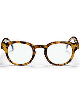 очки  CHPO Carro Leopard очки <br>для компьютера  фото 2