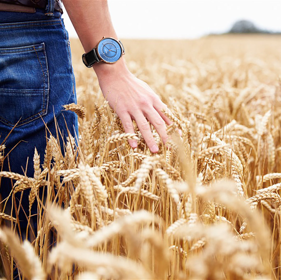 A.B. art FD41-012-1L