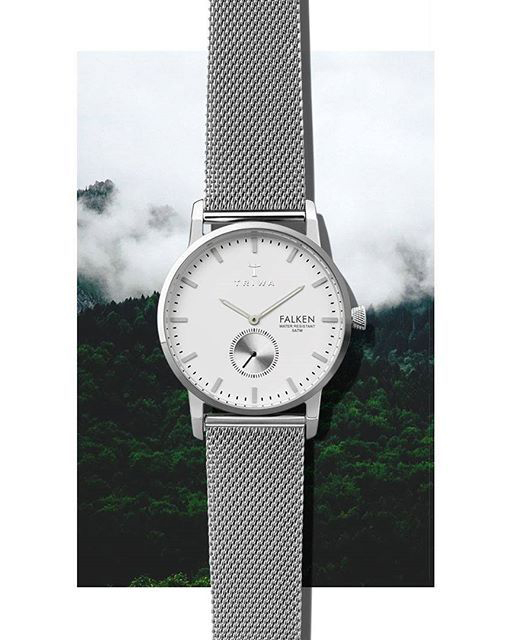 Triwa Ivory Falken
