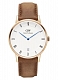 D. Wellington Dapper Durham DW00100113